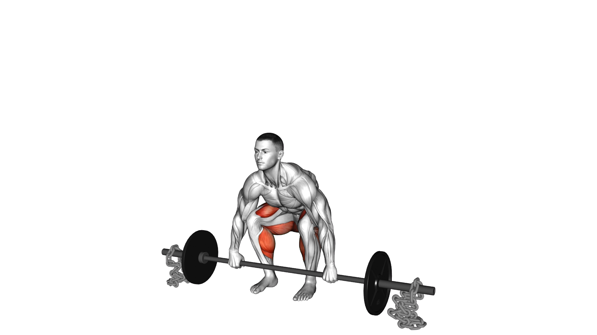 Barbell Deadlift against Chains exercise demonstration