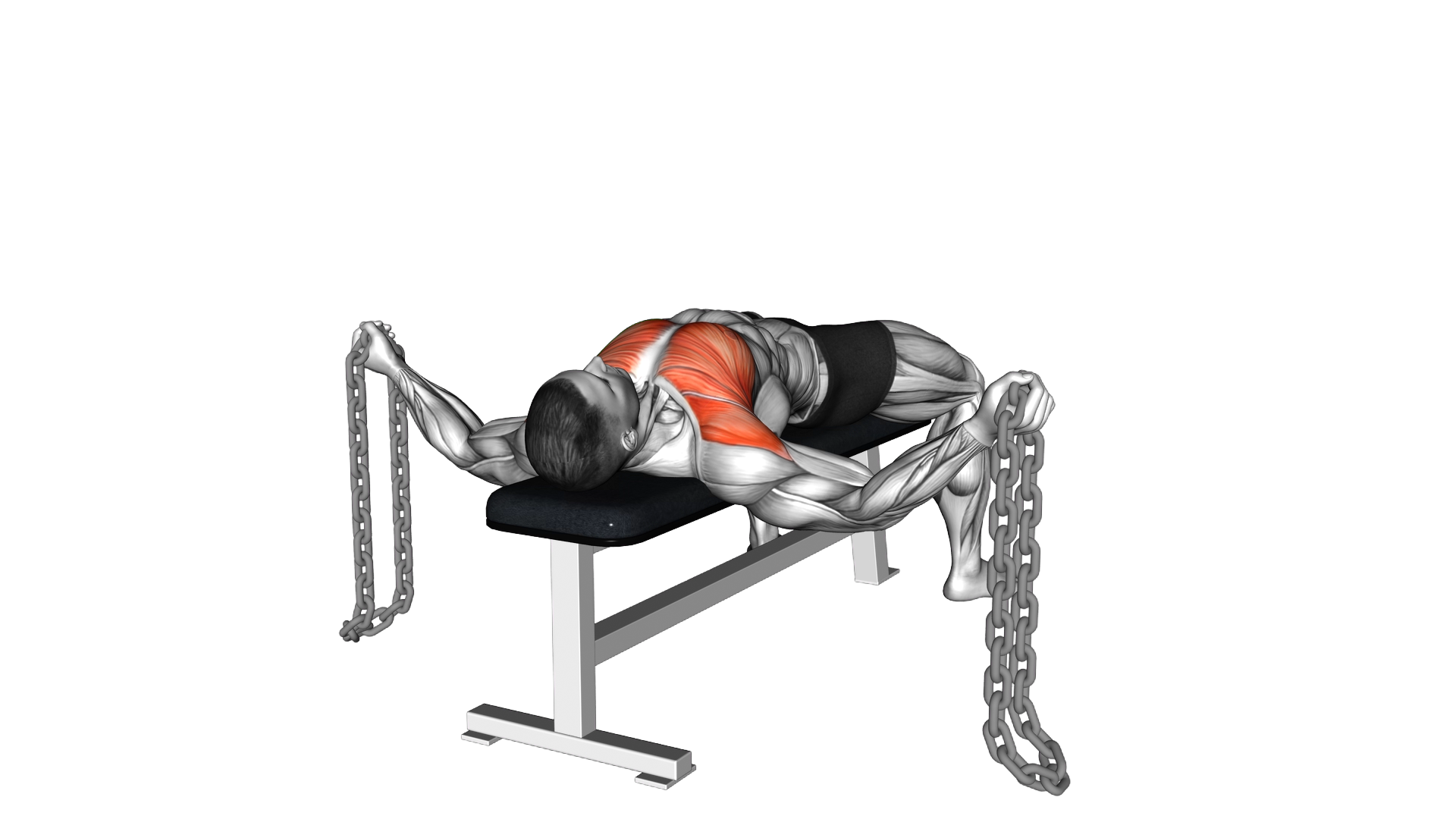 Weighted Chains Lying Bench Fly exercise thumbnail