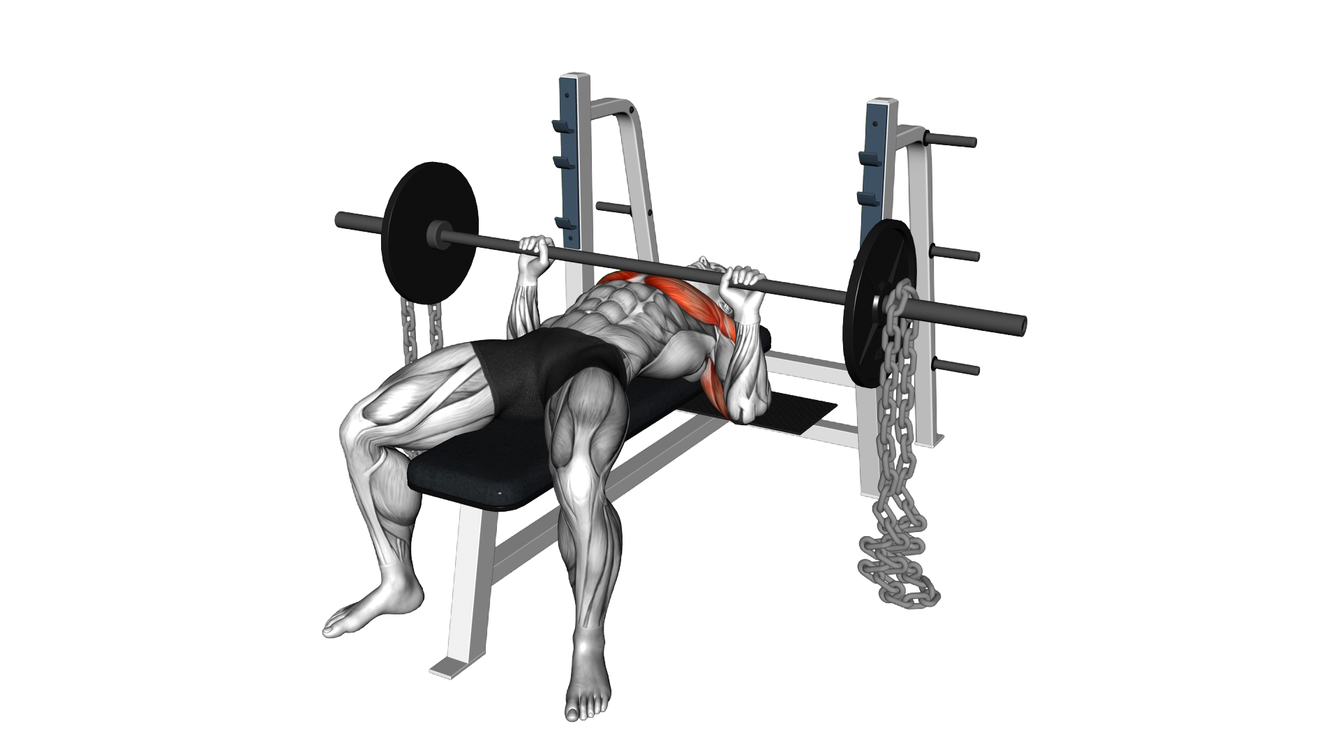 Barbell Weighted Chains Bench Press exercise thumbnail