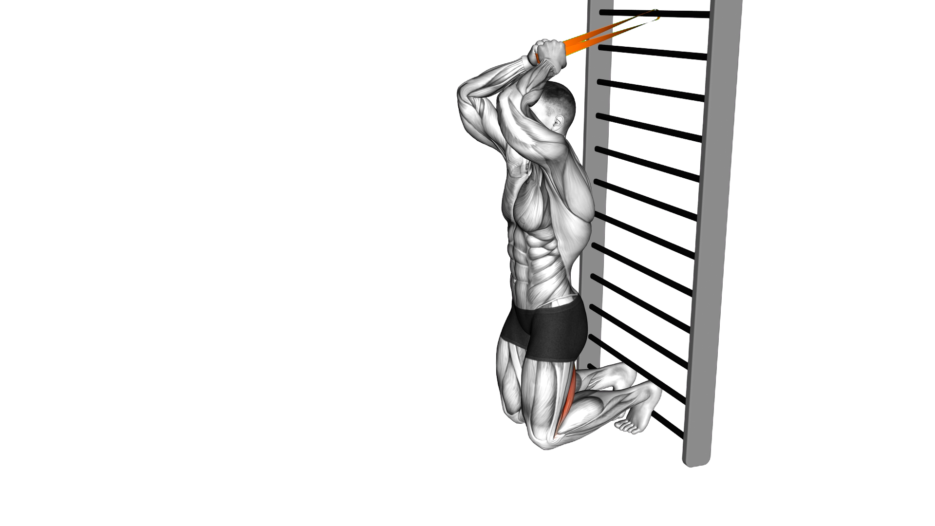 Resistance Band Assisted Nordic Hamstring Curl exercise thumbnail