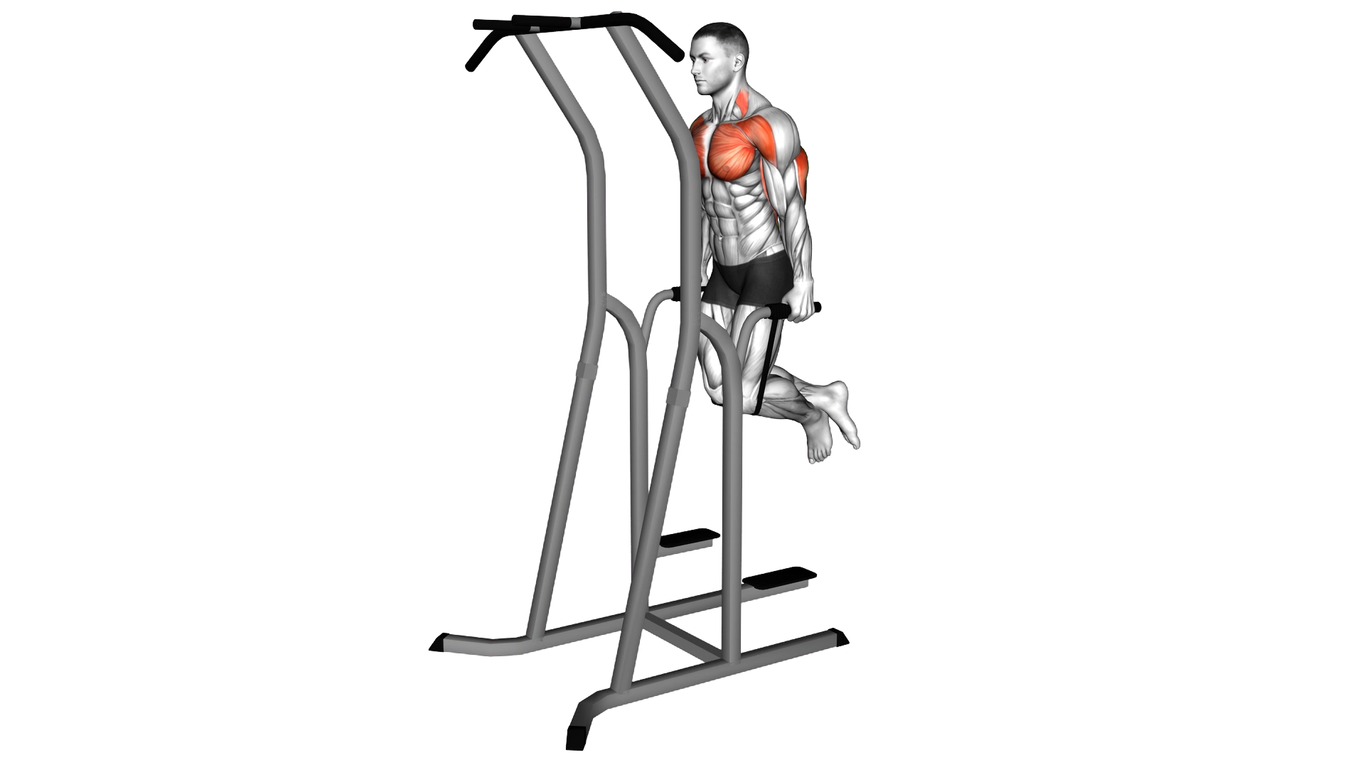 Band Assisted Dip exercise thumbnail