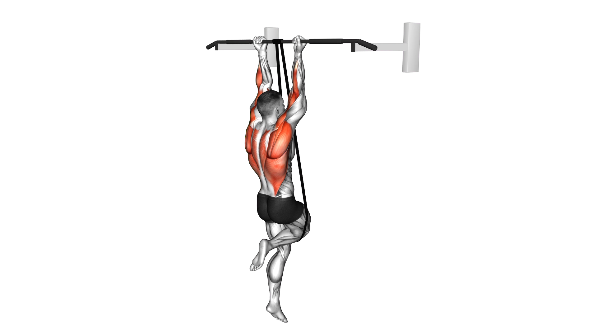 Band Assisted Chin Up (From Knee) exercise demonstration