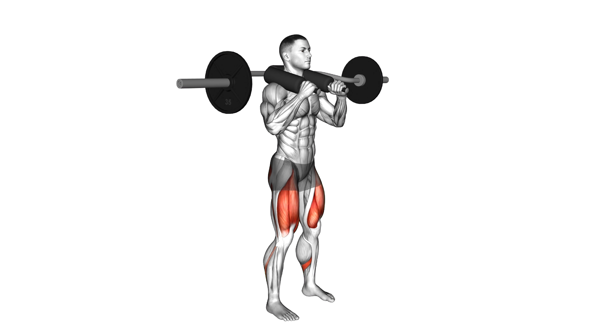 Safety Bar Front Squat exercise demonstration