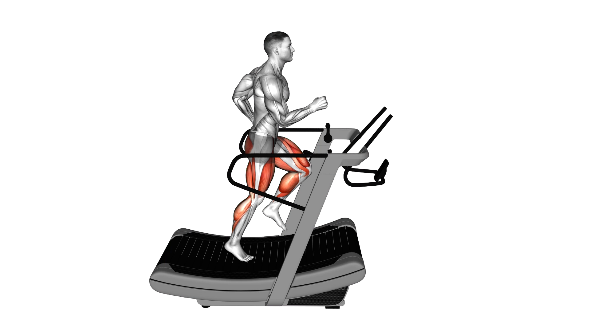 Assault Run exercise demonstration