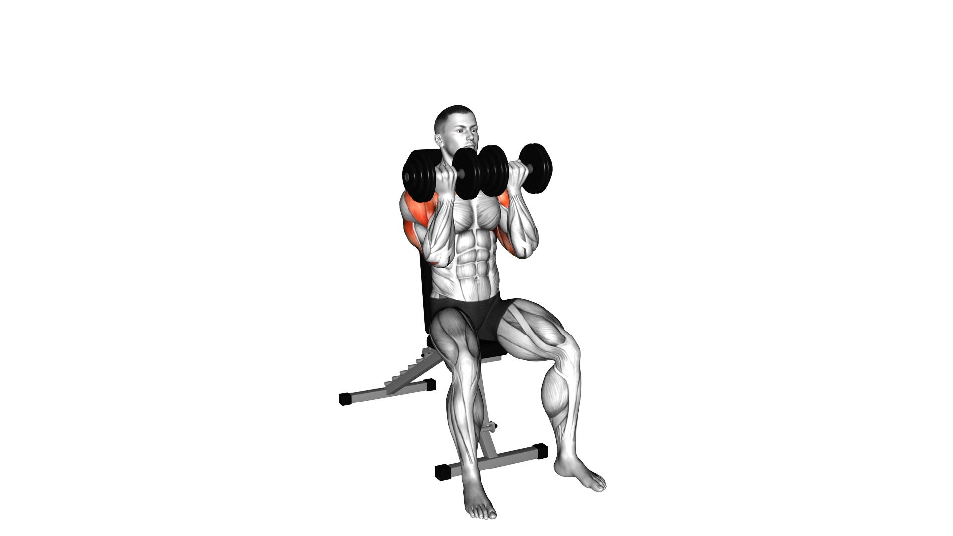 Dumbbell Seated Close Grip Press exercise demonstration