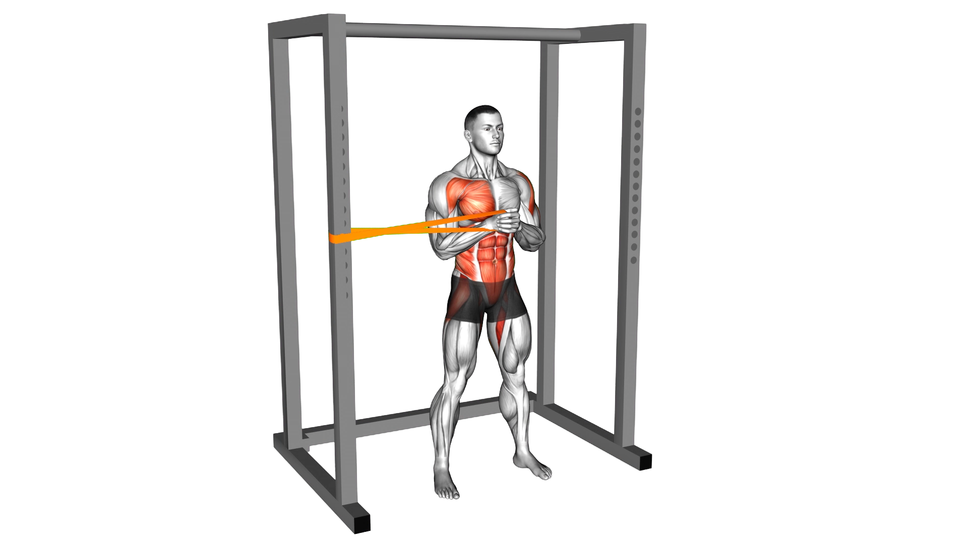 Resistance Band Horizontal Pallof Press exercise demonstration