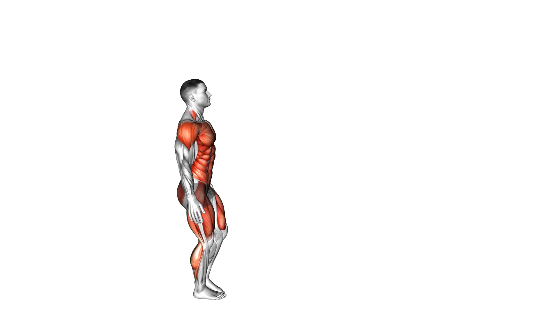 Single Leg Board Jump exercise demonstration