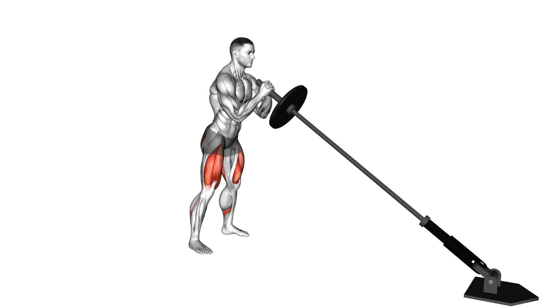 Landmine Front Squat exercise demonstration