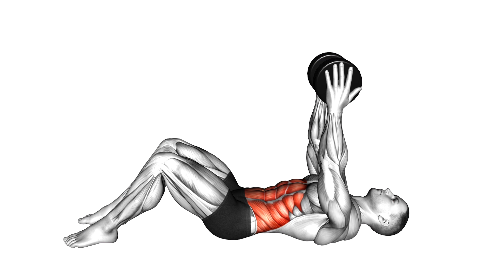 Dumbbell Straight Arm Crunch exercise demonstration
