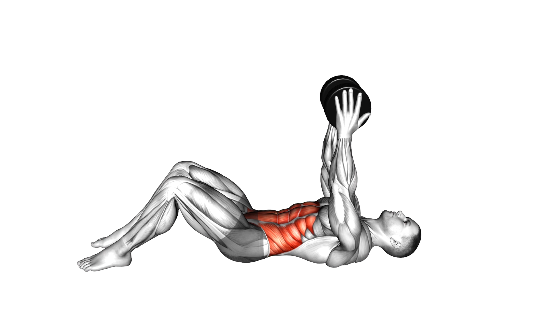 Dumbbell Straight Arm Twisting Sit up exercise demonstration