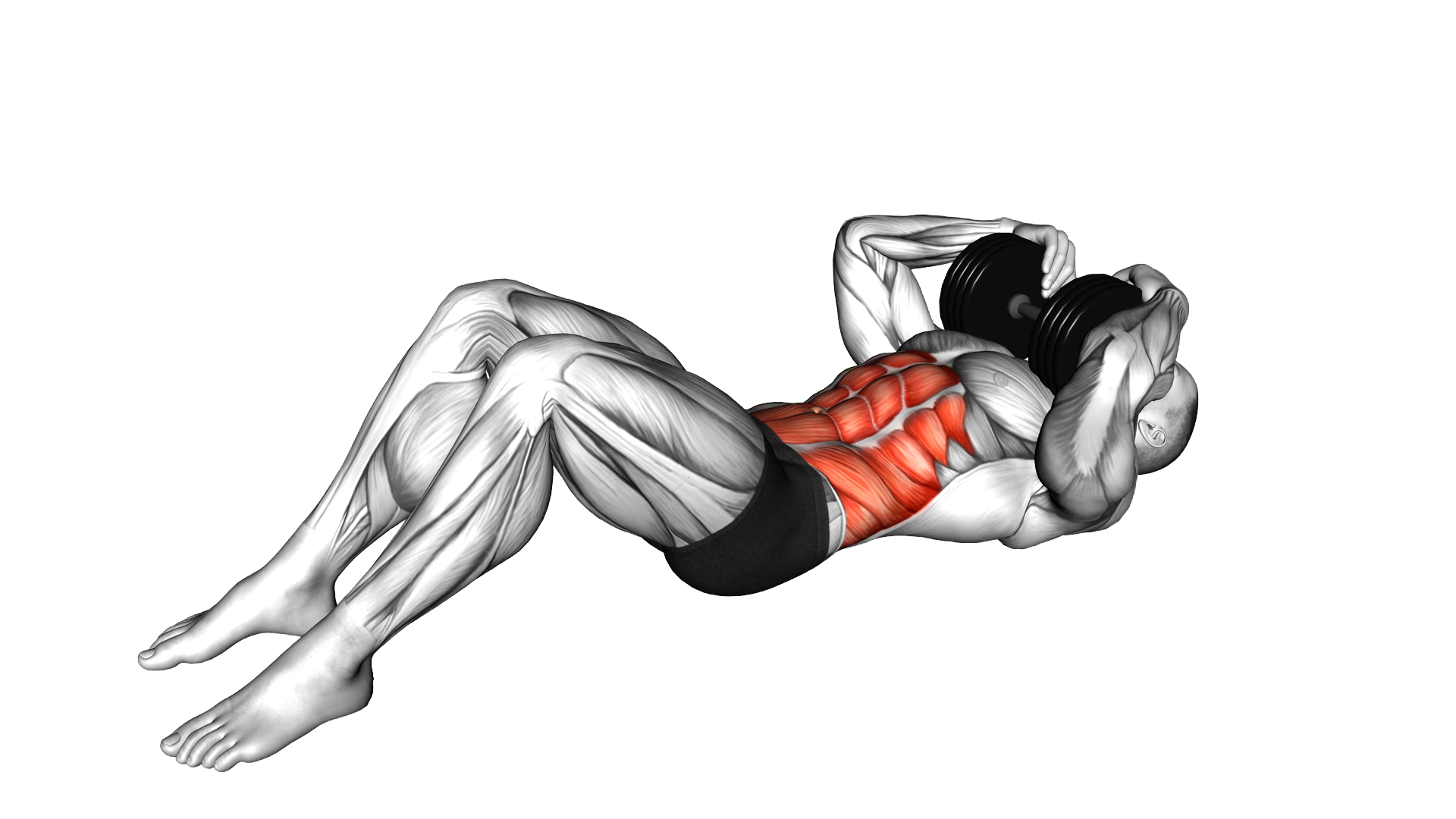 Weighted Crunch exercise demonstration