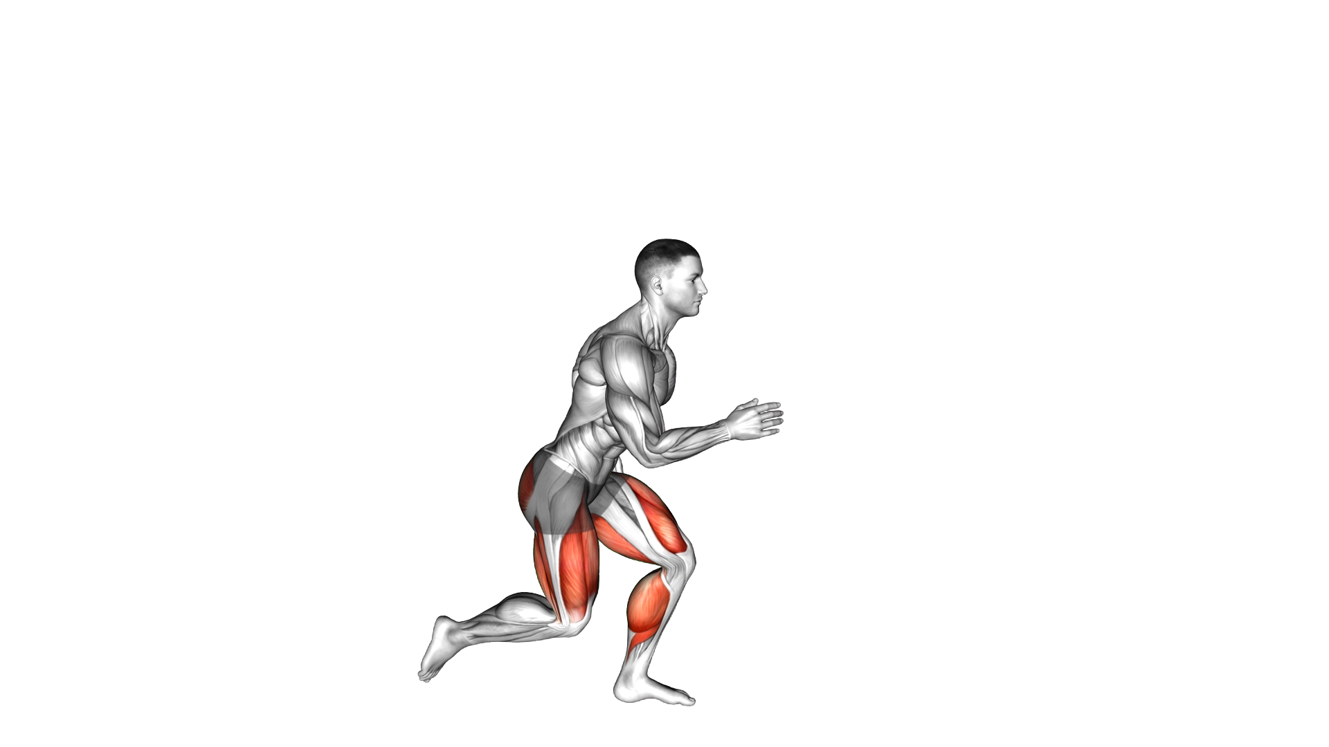 Single Leg Vertical Jump exercise demonstration