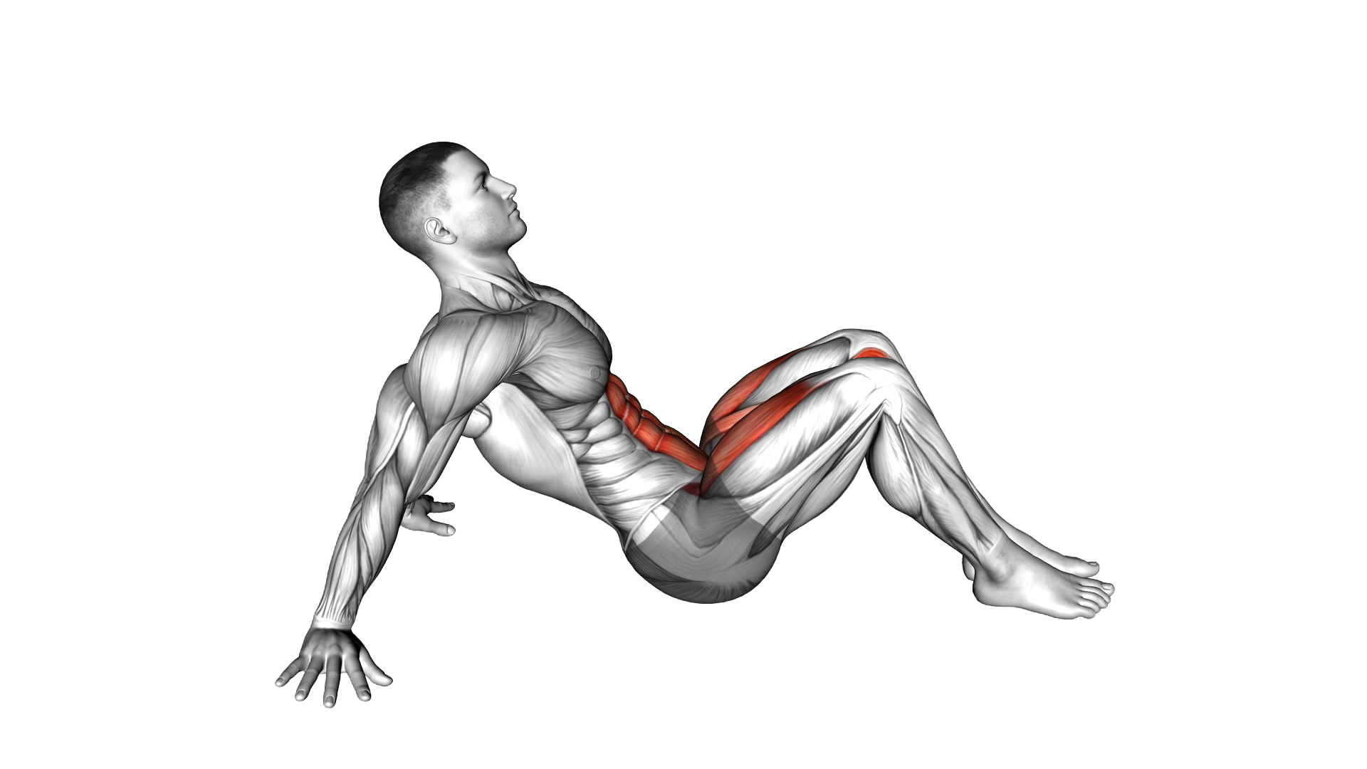 Boat Stretch exercise demonstration