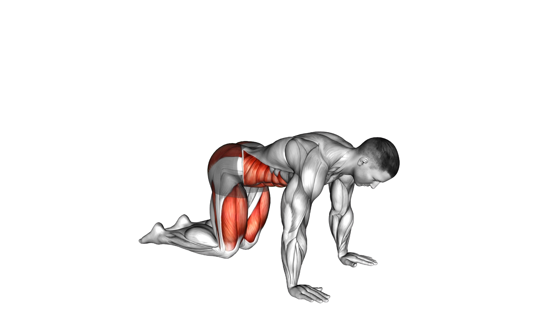 Ceiling Look Stretch exercise demonstration
