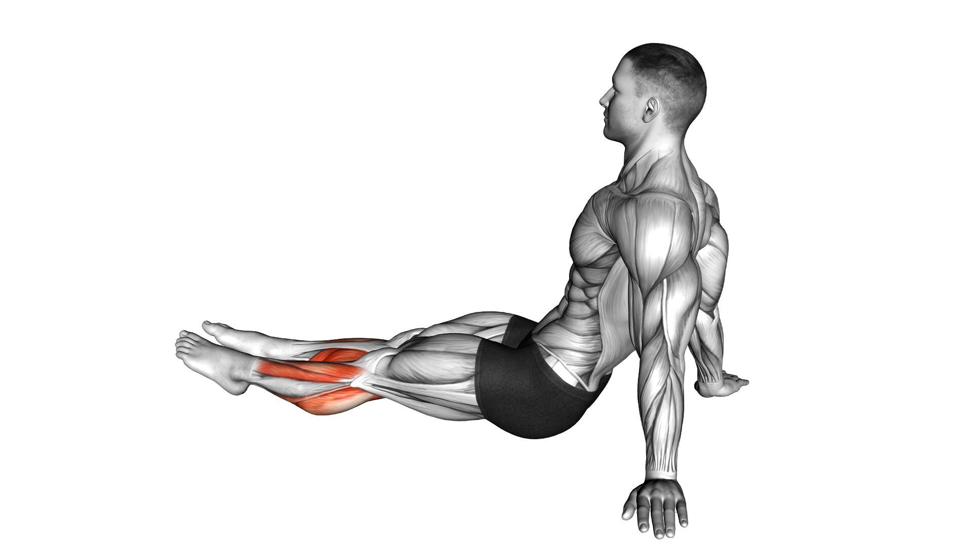 Feet and Ankles Stretch exercise demonstration