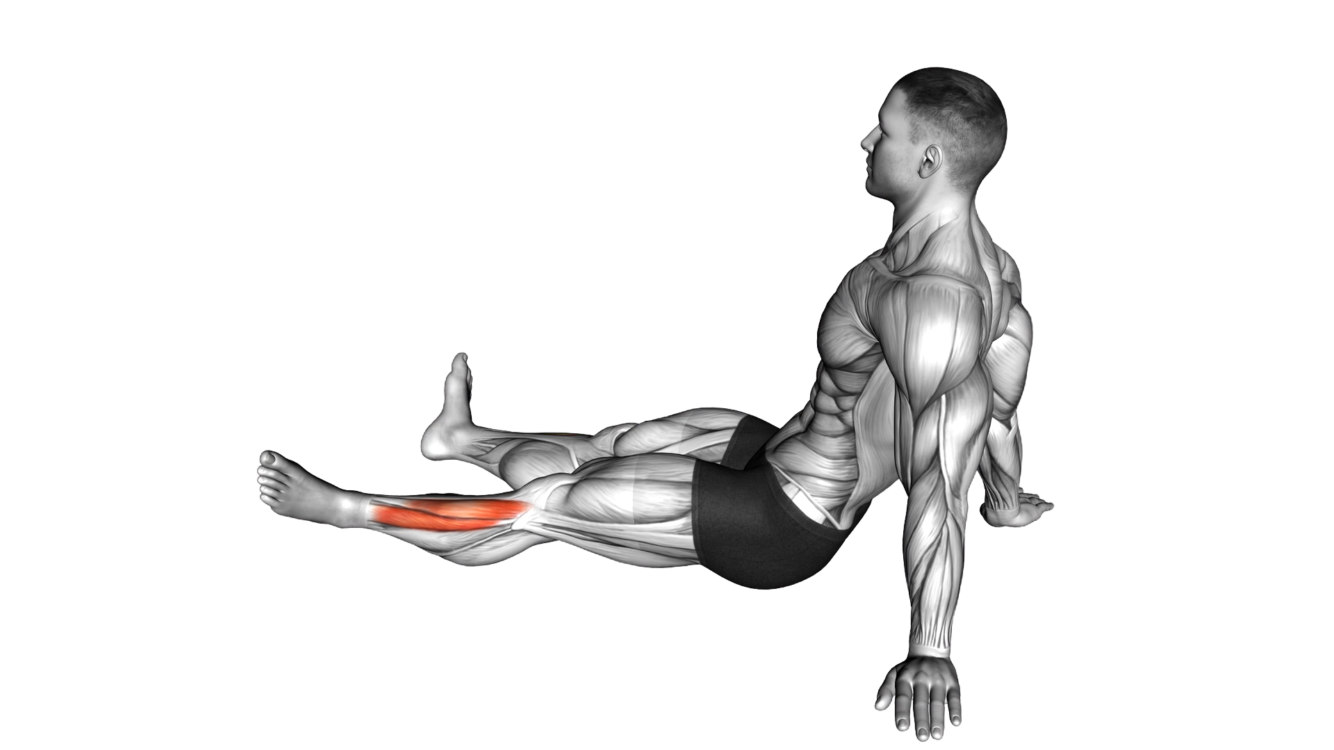 Feet and Ankles Rotation Stretch exercise demonstration