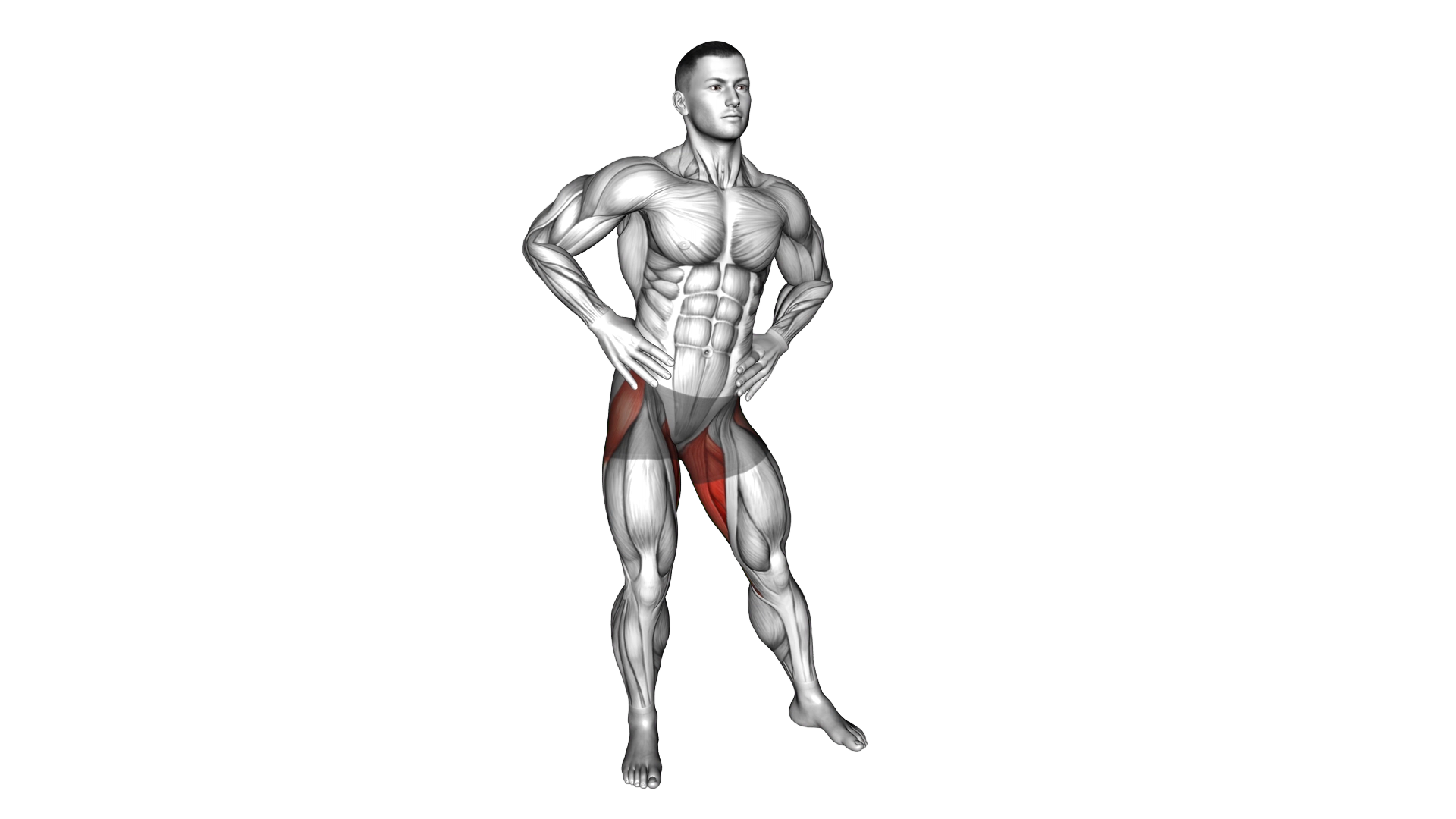 Hip Circles Stretch exercise demonstration