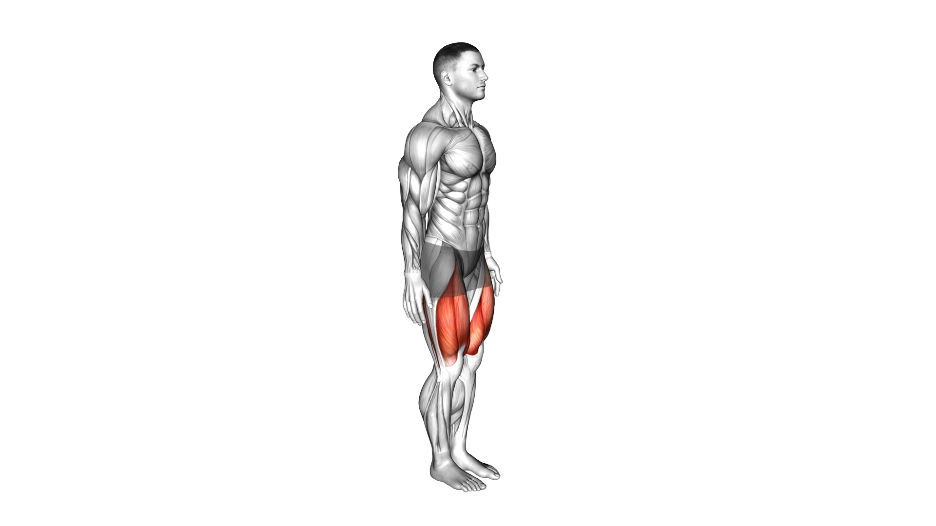 Knee Raise Stretch exercise demonstration
