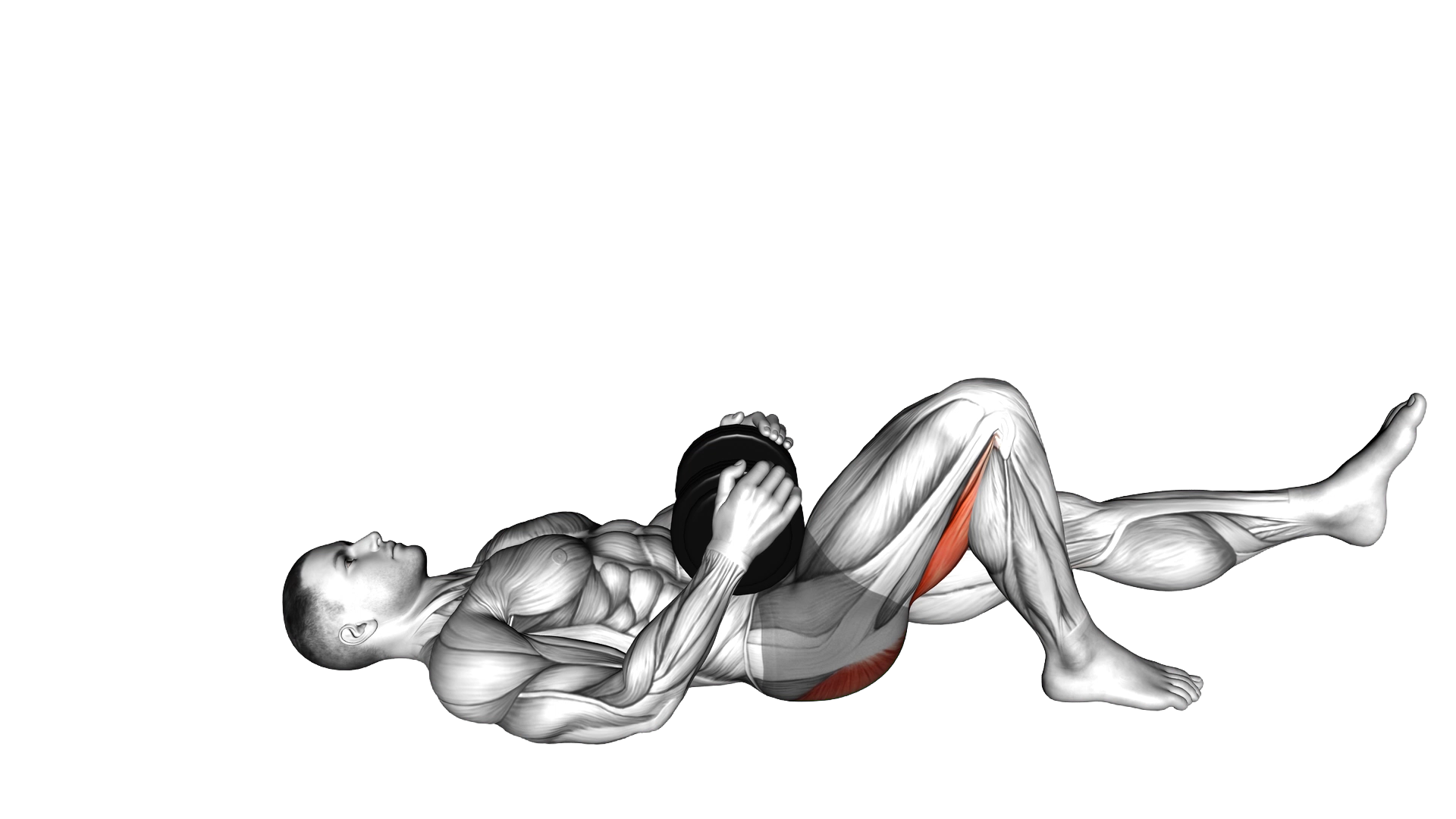 Dumbbell Single Leg Glute Bridge exercise demonstration