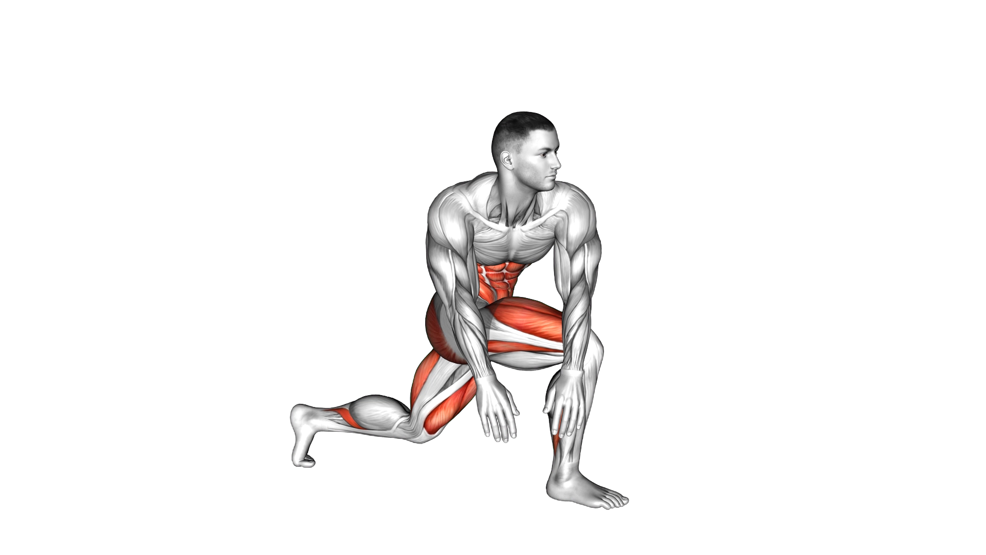 Crossover Kneeling Hip Flexor Stretch exercise demonstration
