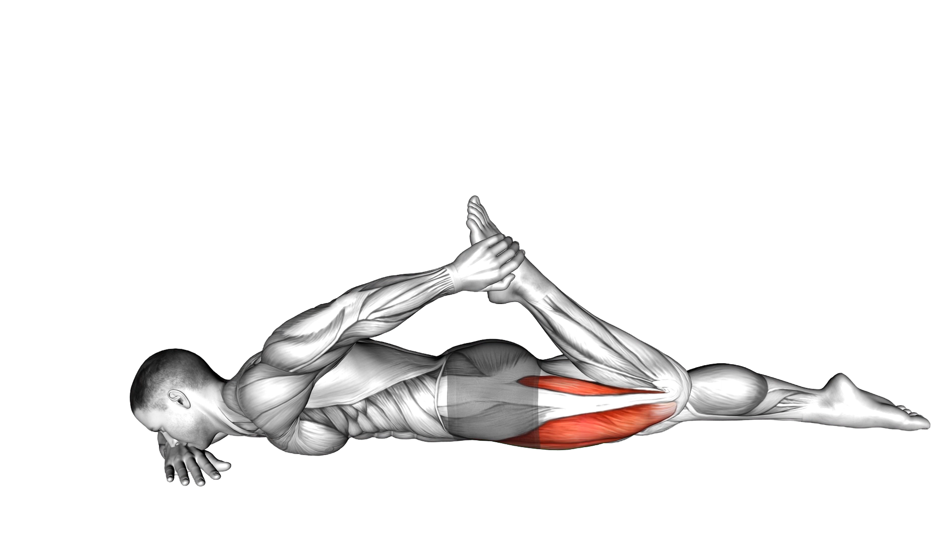 Quadriceps lying stretch exercise demonstration