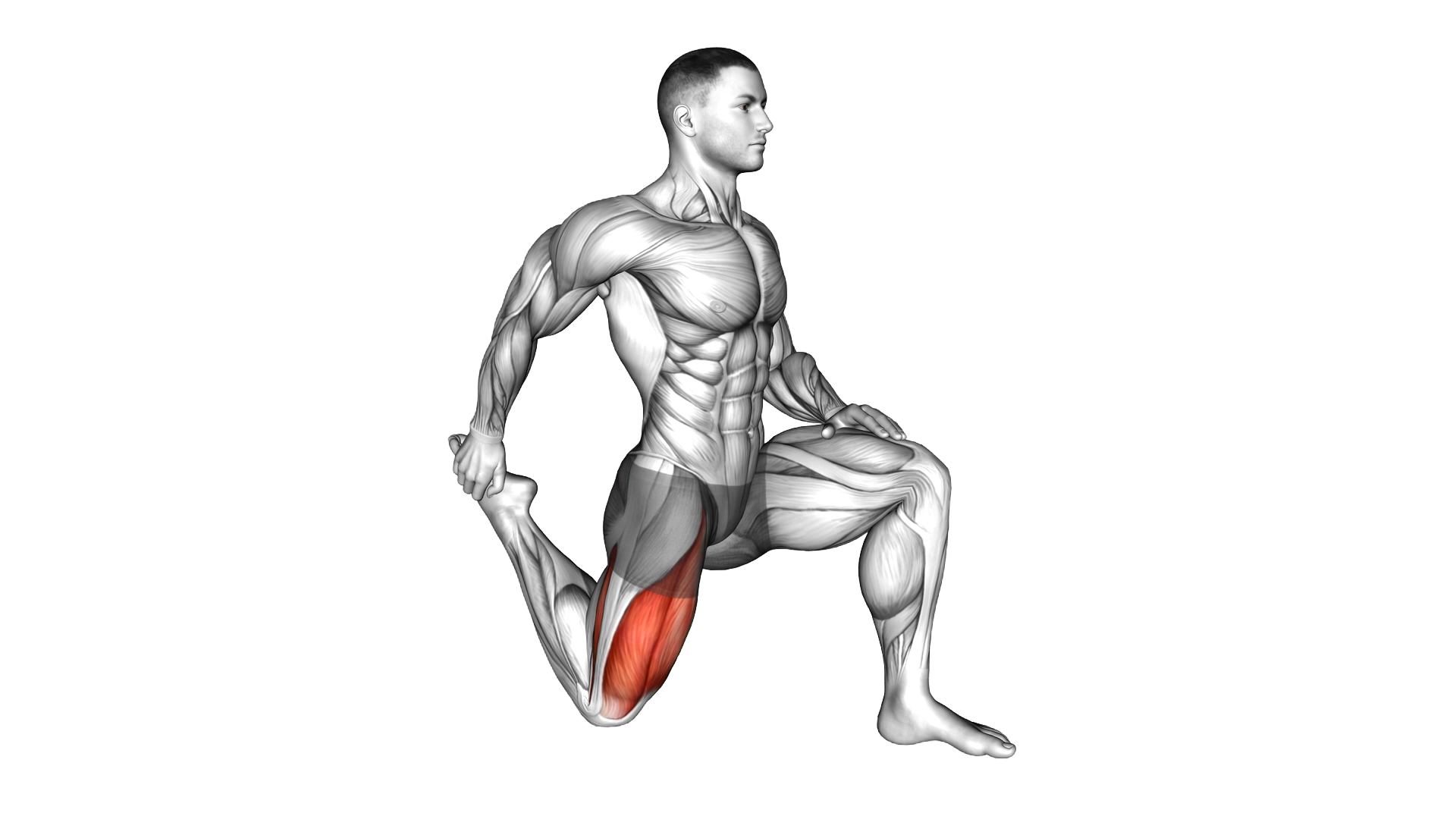 Quadriceps stretch exercise demonstration