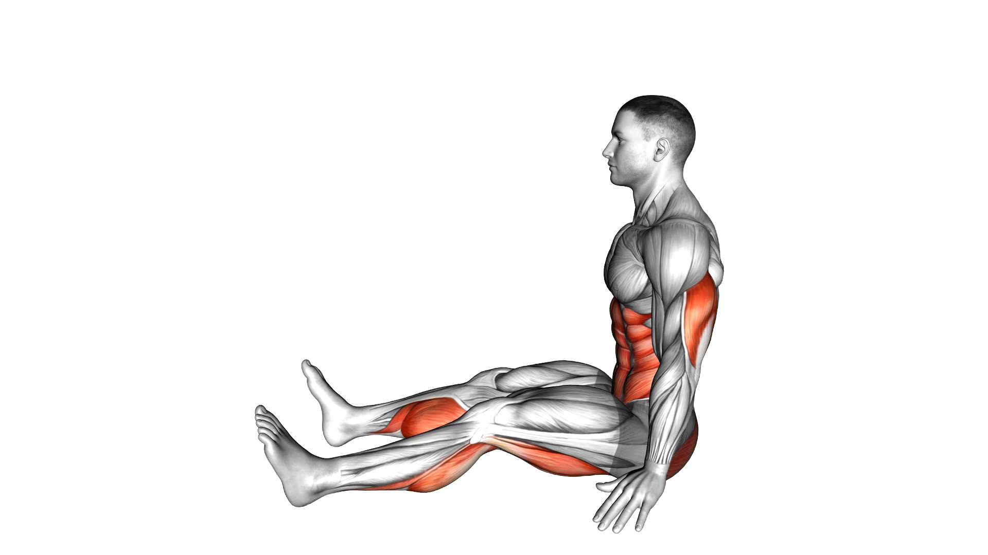 Spine Stretch Forward exercise demonstration