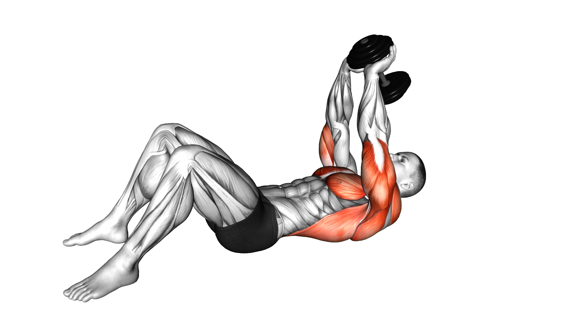Dumbbell Pullover on floor exercise demonstration