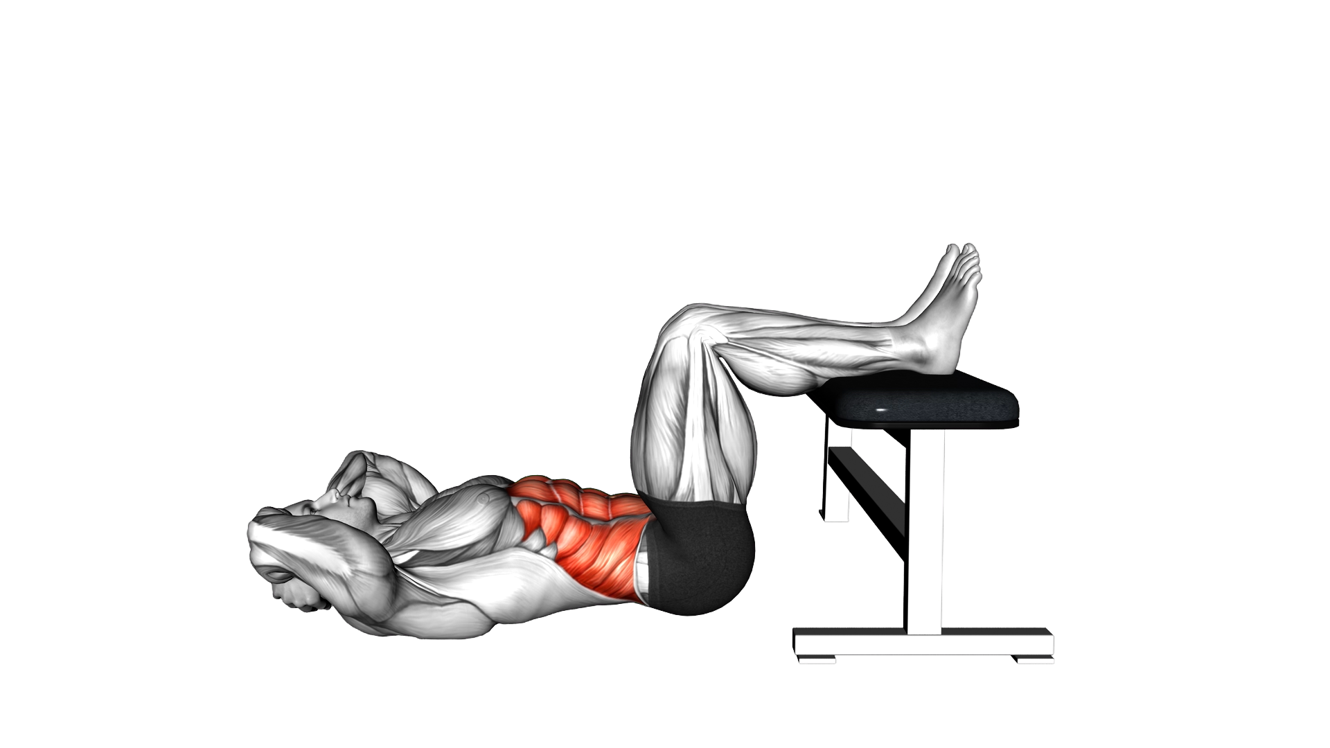 Crunch Hold with Legs on Bench exercise thumbnail
