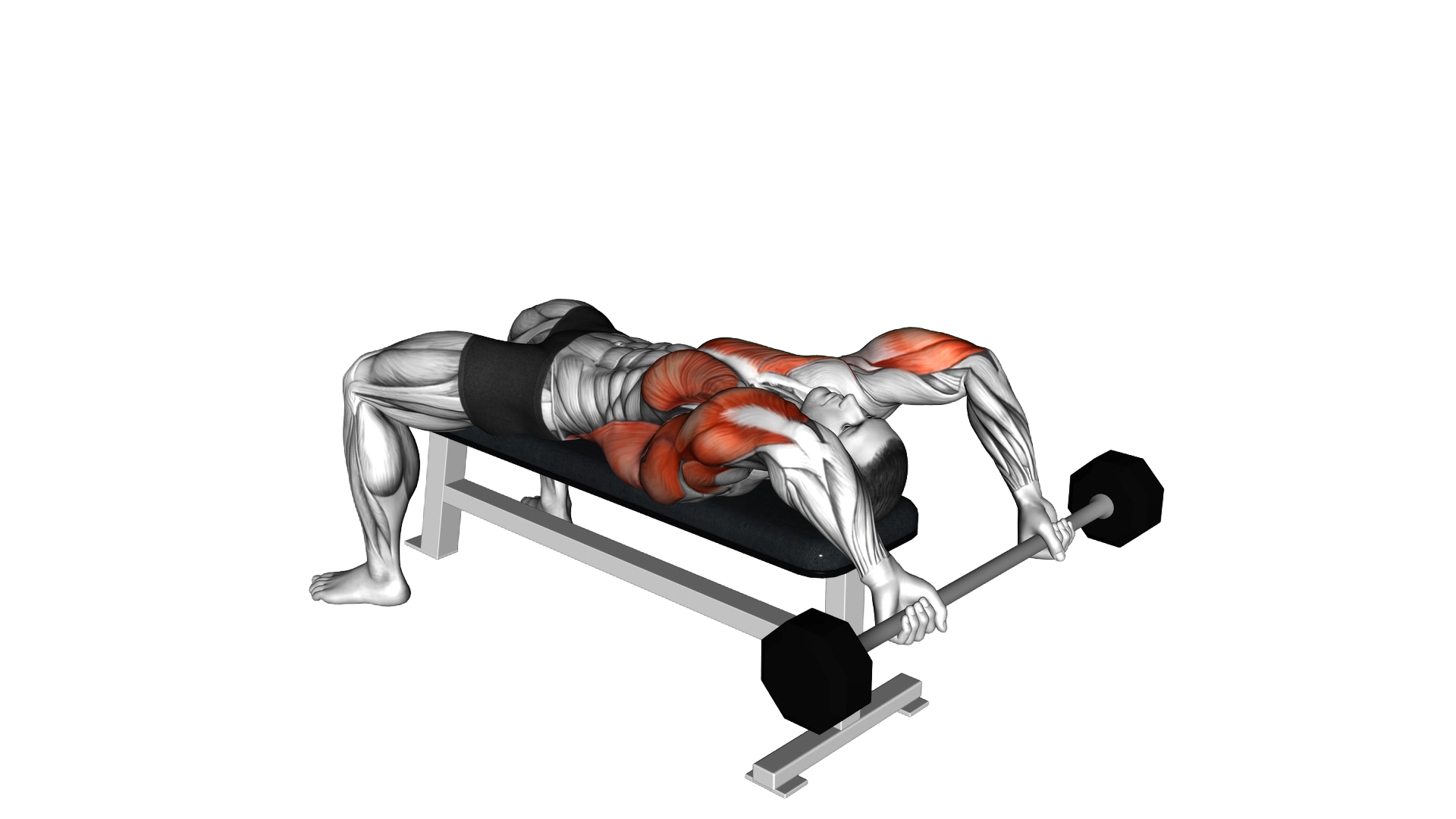 Barbell Pullover exercise demonstration