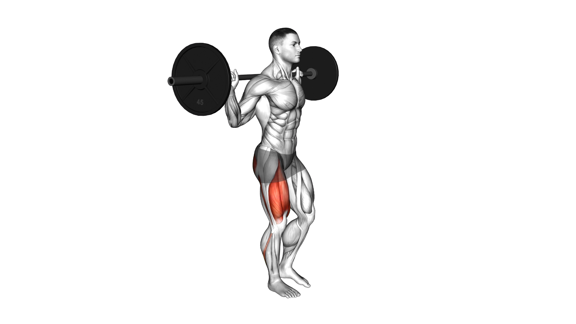 Barbell Single Leg Squat exercise demonstration