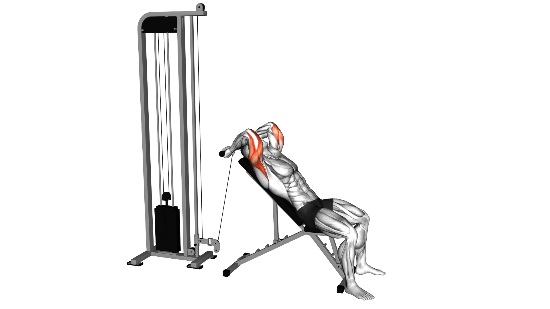 Cable Incline Skull Crusher exercise demonstration