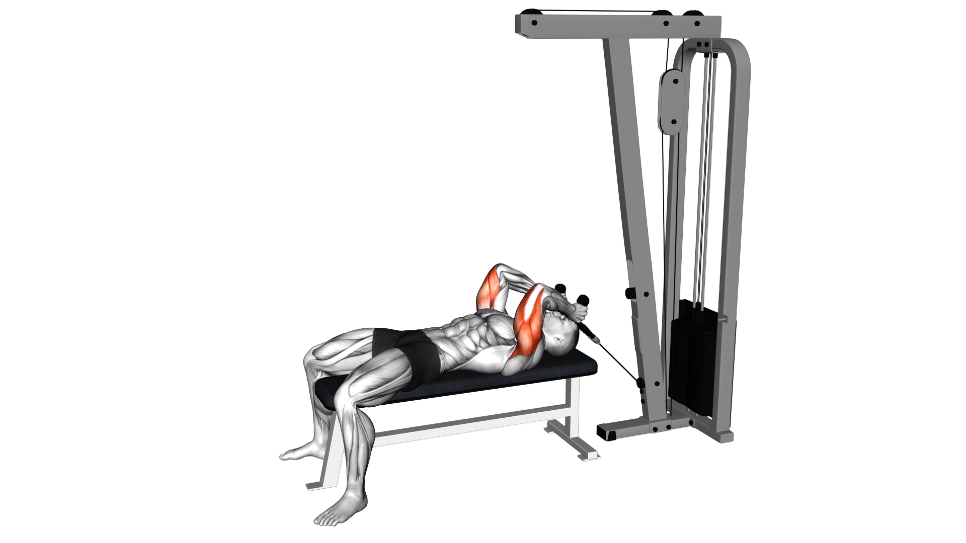 Cable Lying Triceps Extension (with Rope) exercise demonstration