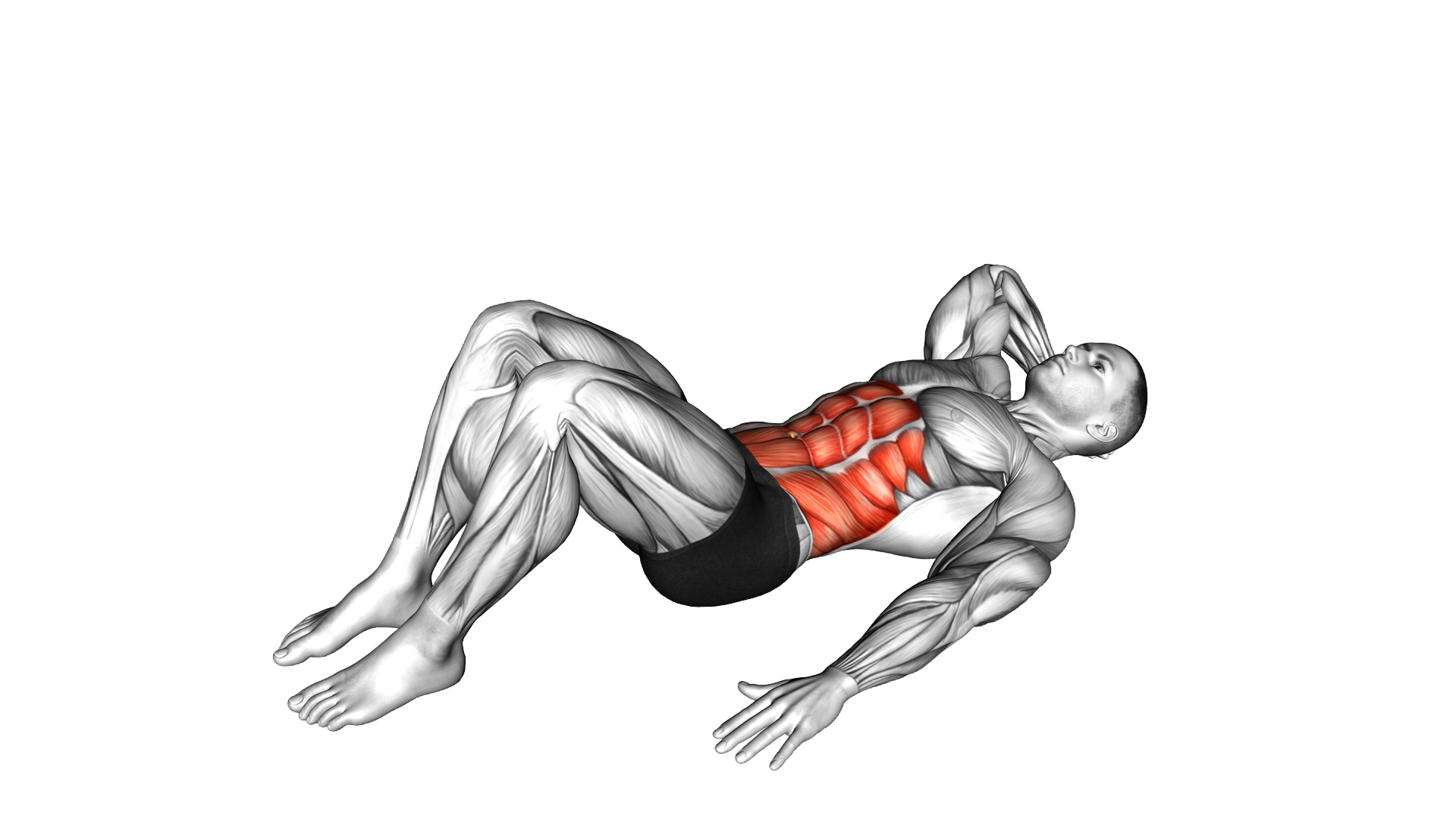 Alternate Oblique Crunch exercise demonstration