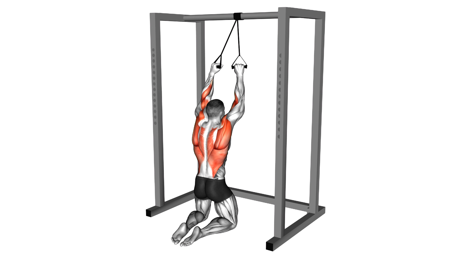 Band Knelling Lat Pulldown exercise demonstration
