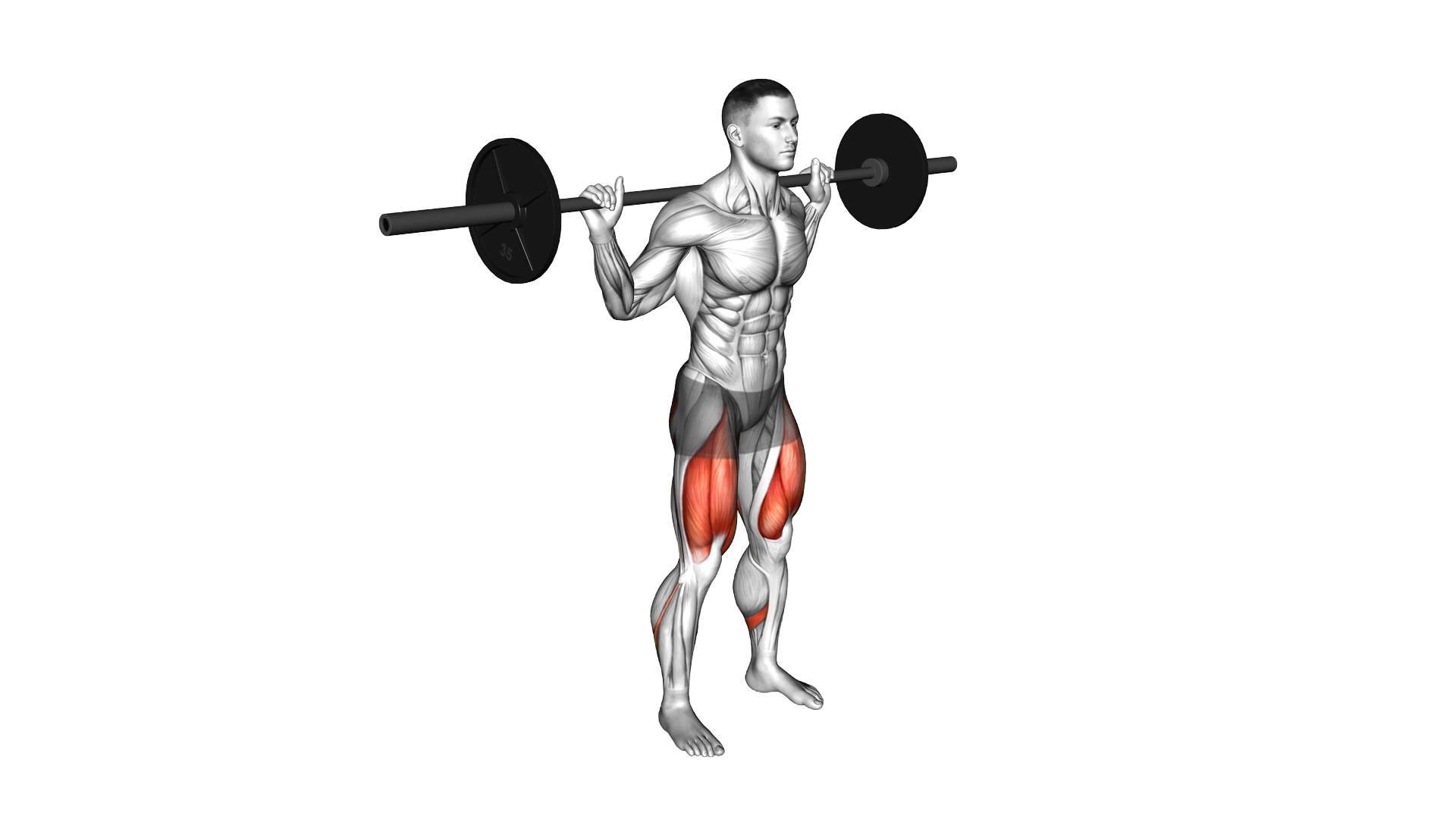 Barbell Squat 2 sec Hold exercise demonstration