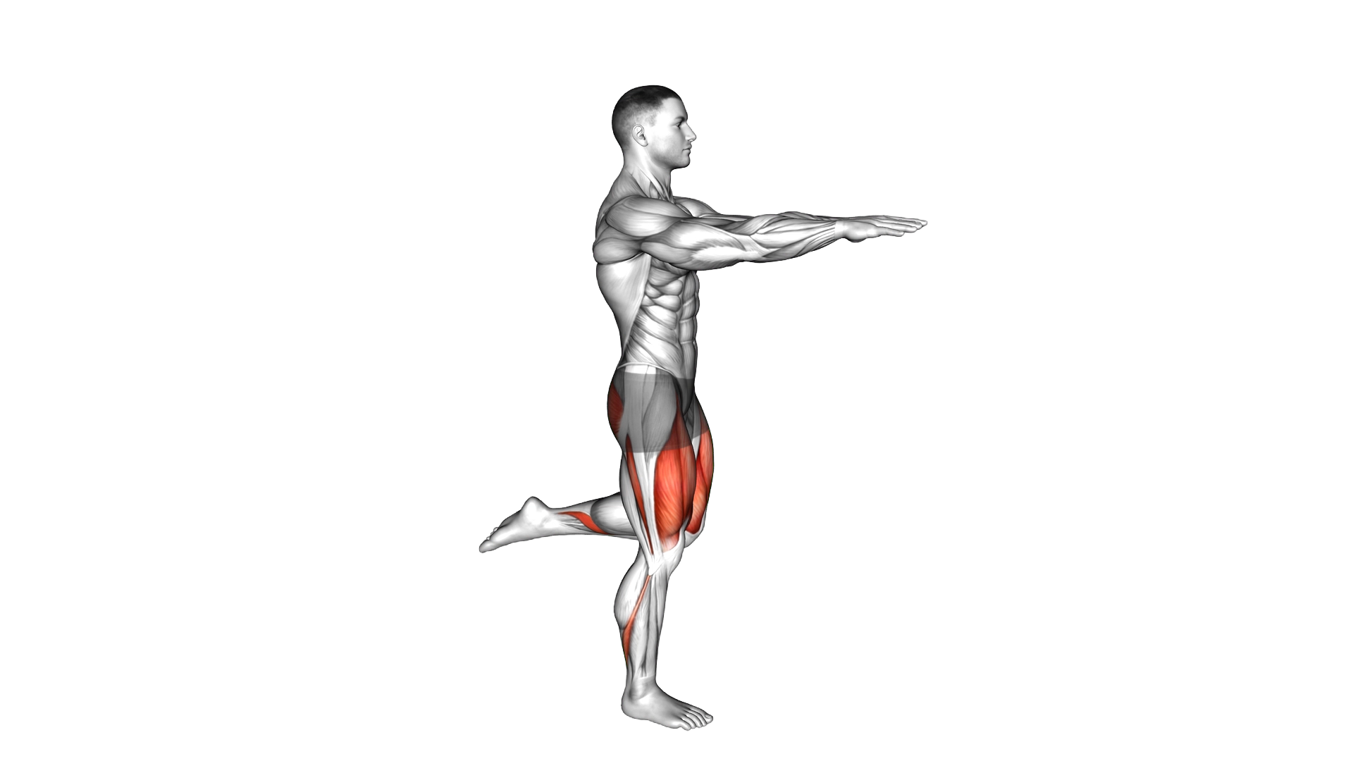 Counterbalanced Skater Squat exercise demonstration