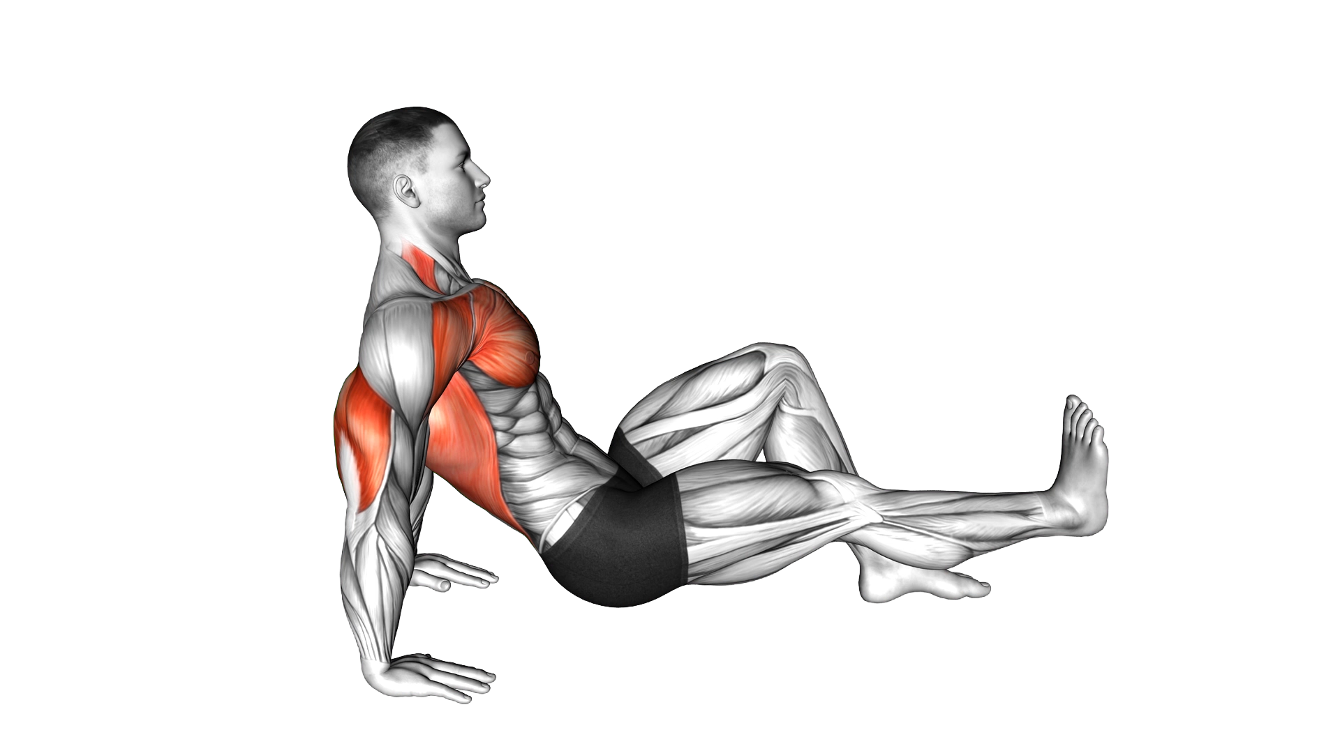 Single Leg Dip on floor exercise thumbnail