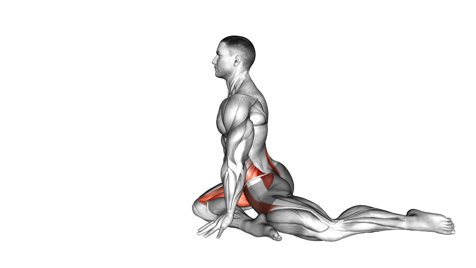 Animal Resting Yoga Pose exercise demonstration