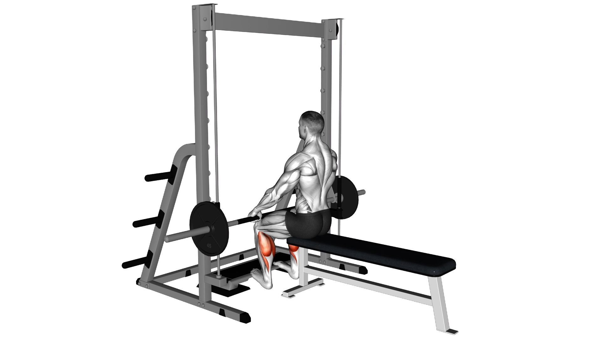Smith Seated Calf Raise exercise thumbnail