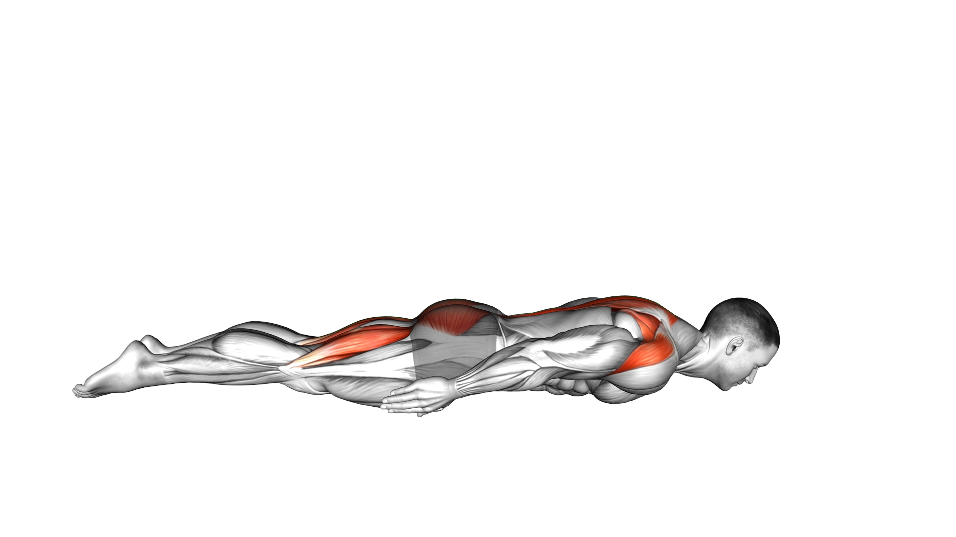 Crocodile Yoga Pose exercise demonstration