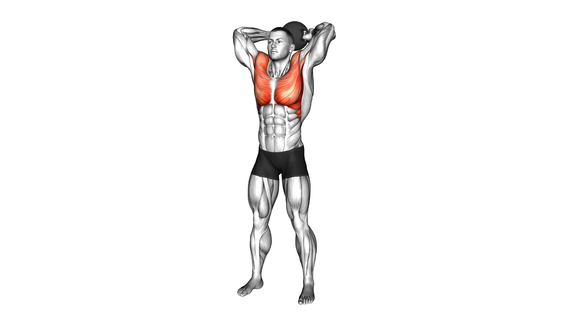 Medicine Ball Around Head Rotation exercise thumbnail
