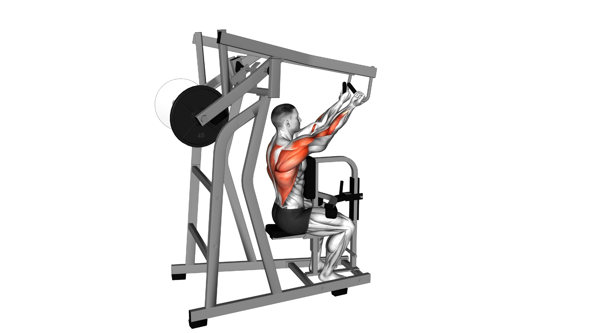 Lever Reverse Grip High Row (plate loaded) exercise demonstration