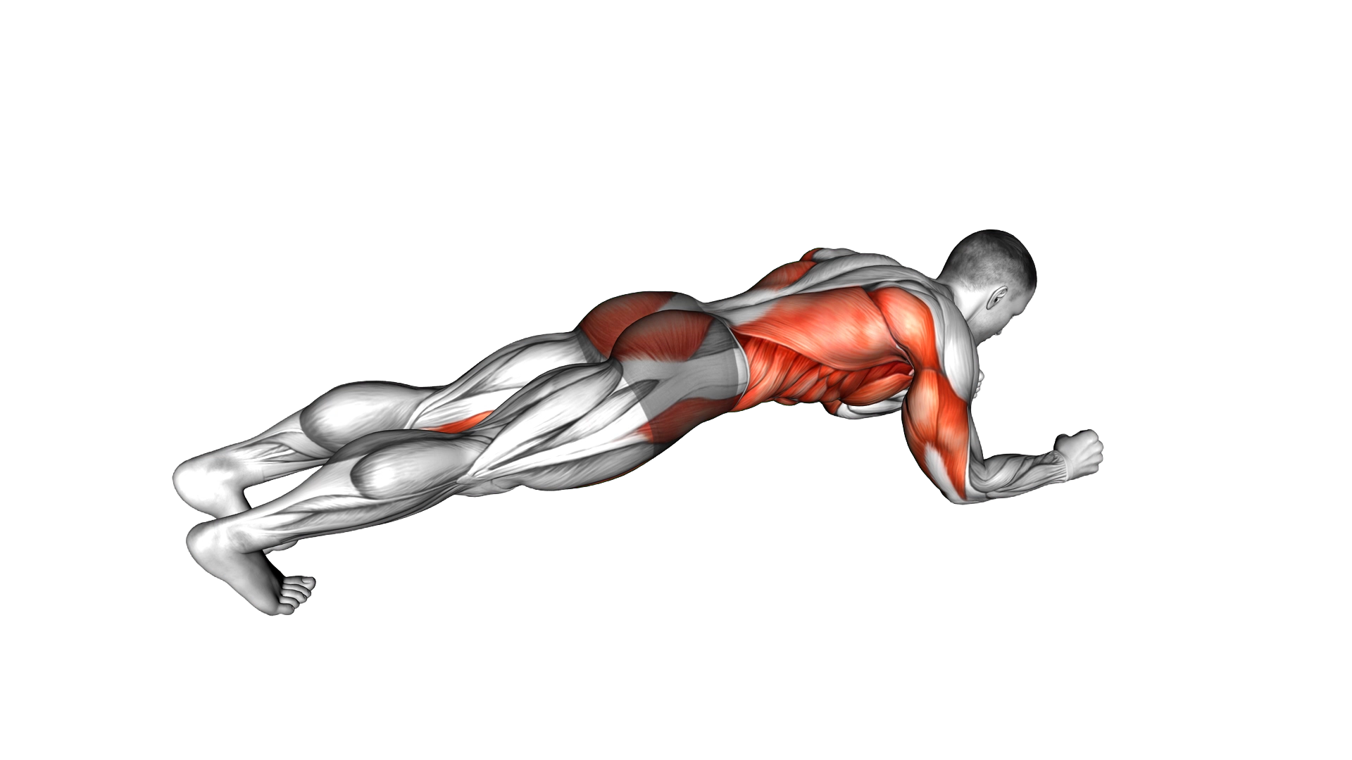 Body Saw Plank exercise demonstration