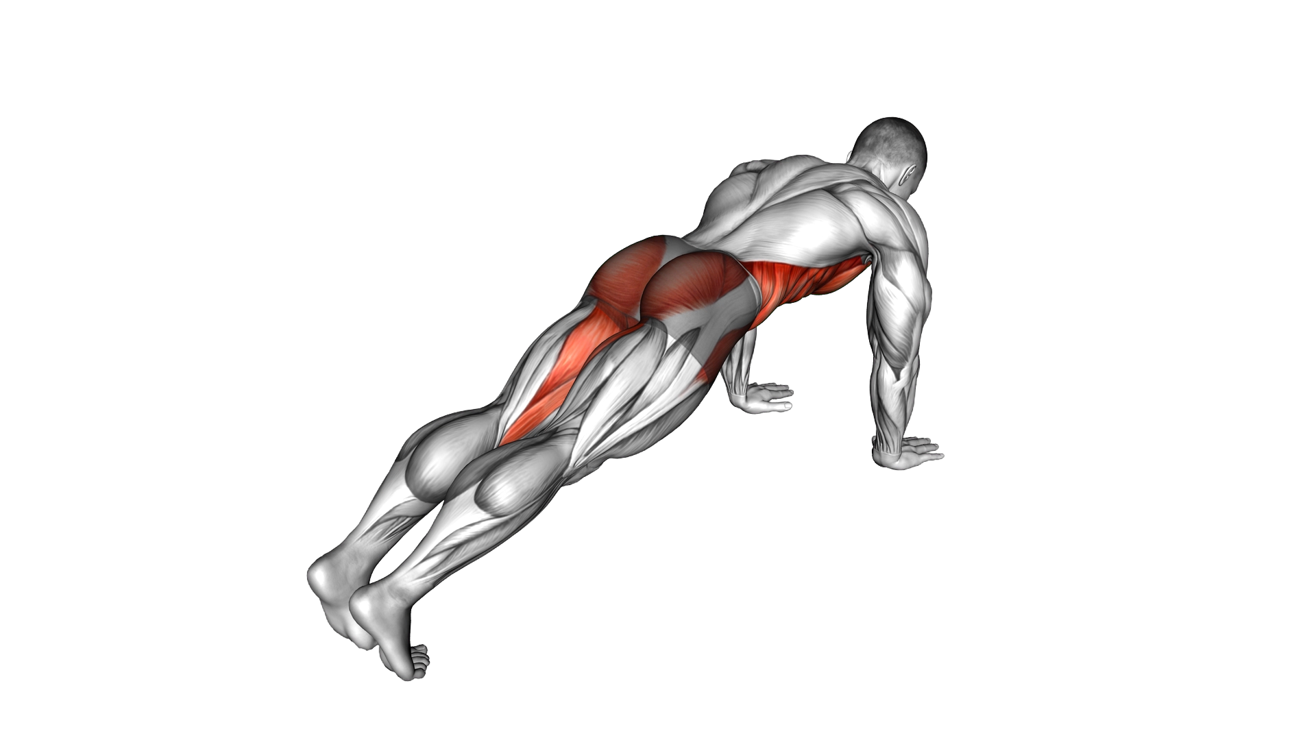 Leg Extension Plank exercise demonstration