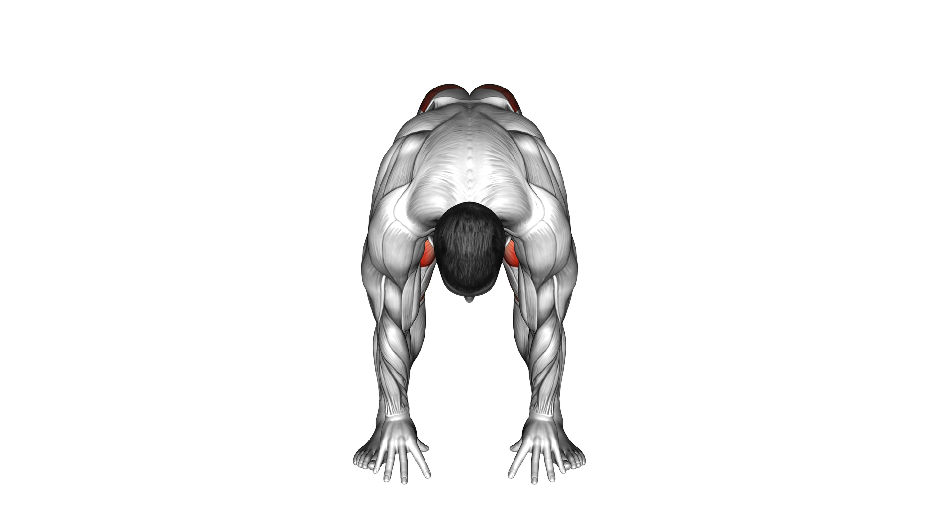 Prayer Squat Yoga Pose exercise demonstration