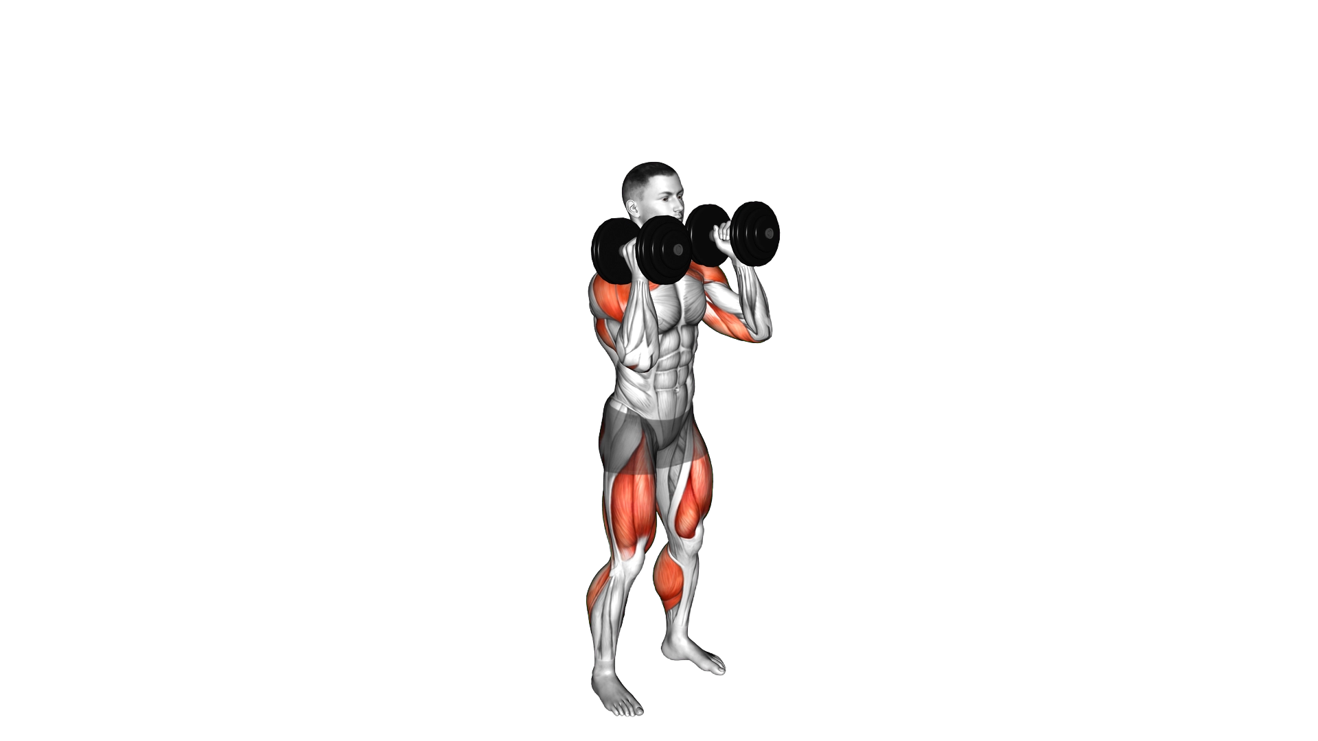 Dumbbell Push Jerk exercise demonstration