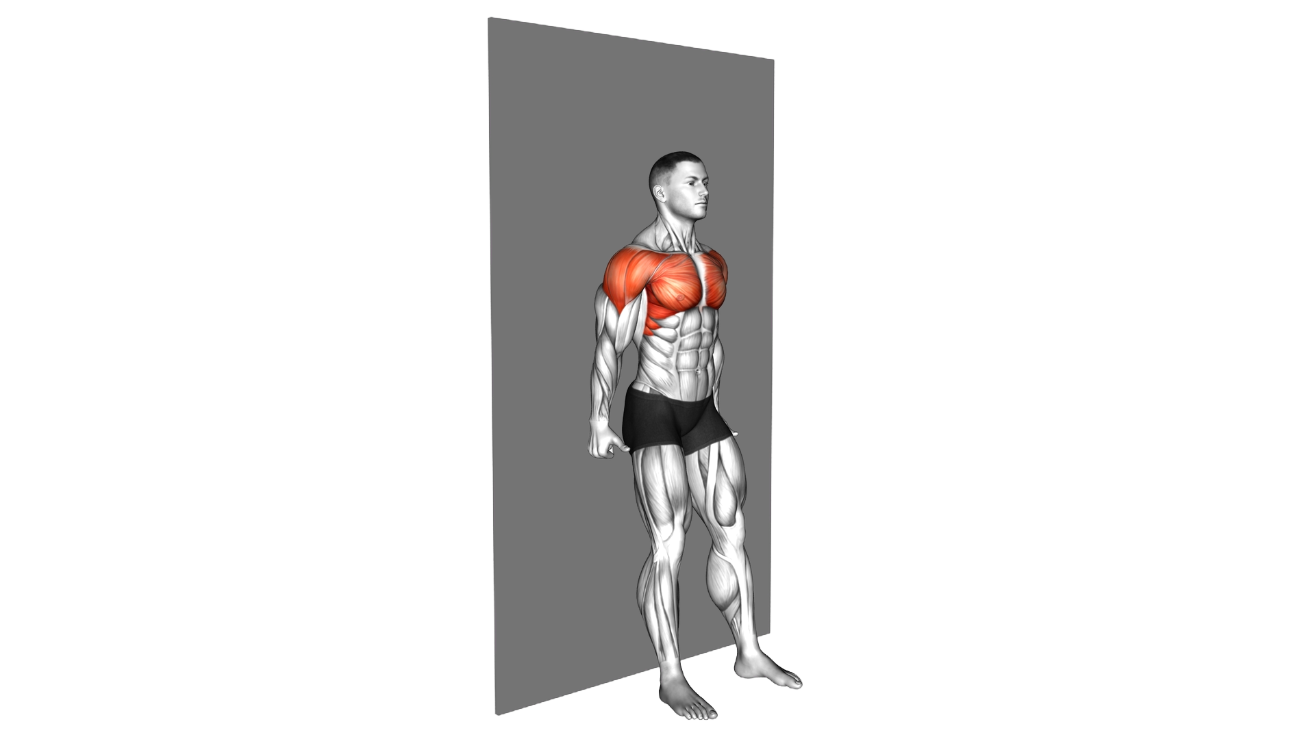 Alternating Shoulder Flexion Back to Wall (Y Raise exercise demonstration
