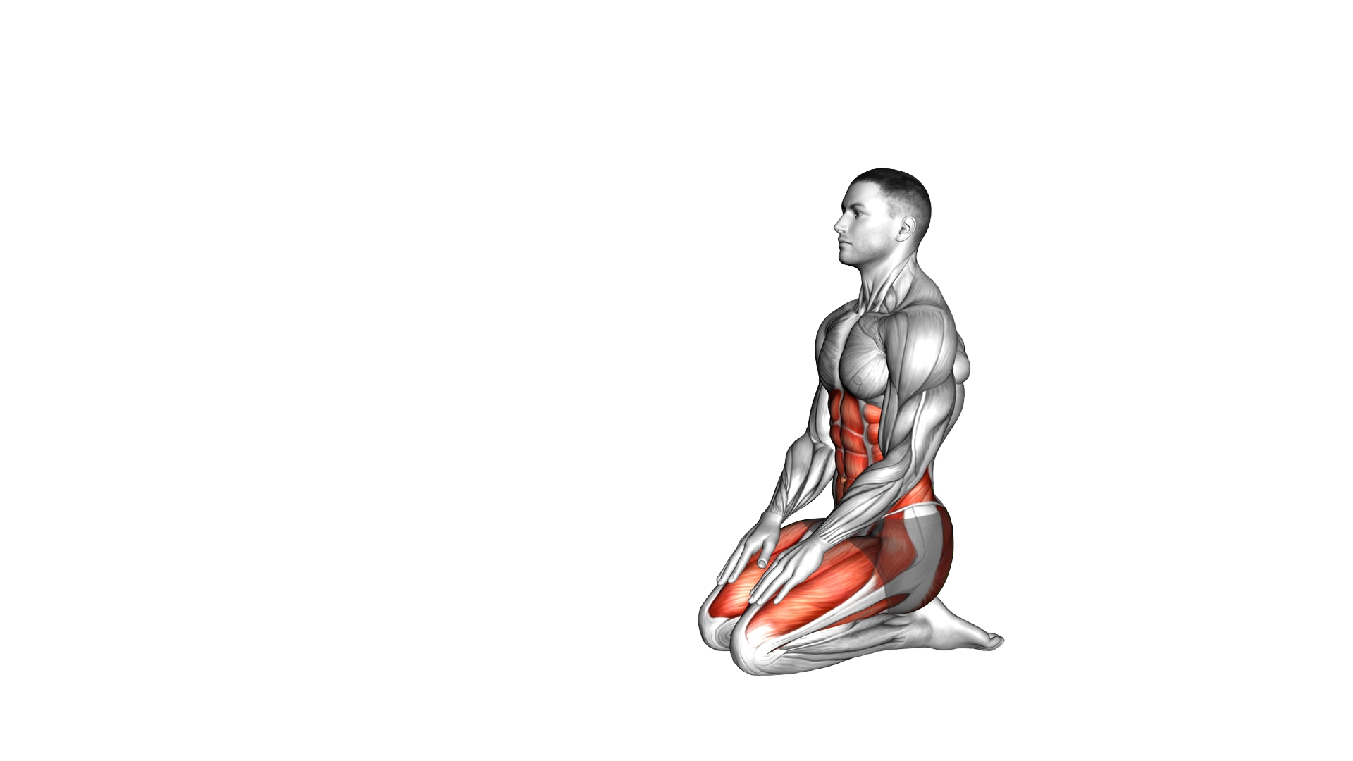 Tiger Yoga Pose exercise demonstration