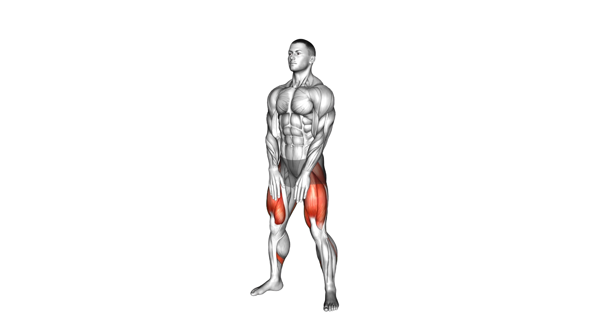 Sumo Squat Floor Touch exercise demonstration